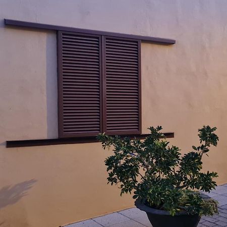 فيلا Casa Mamatita أغيميس المظهر الخارجي الصورة